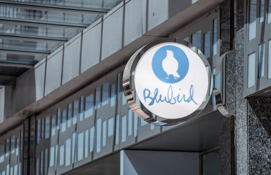 Blubird thumbnail