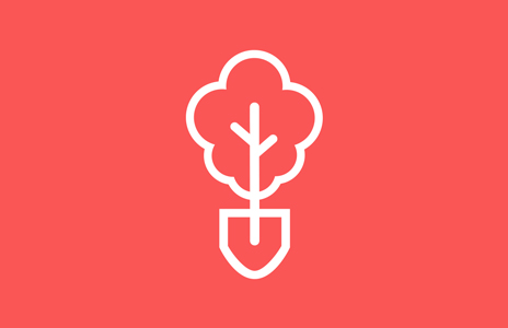 Take Root thumbnail