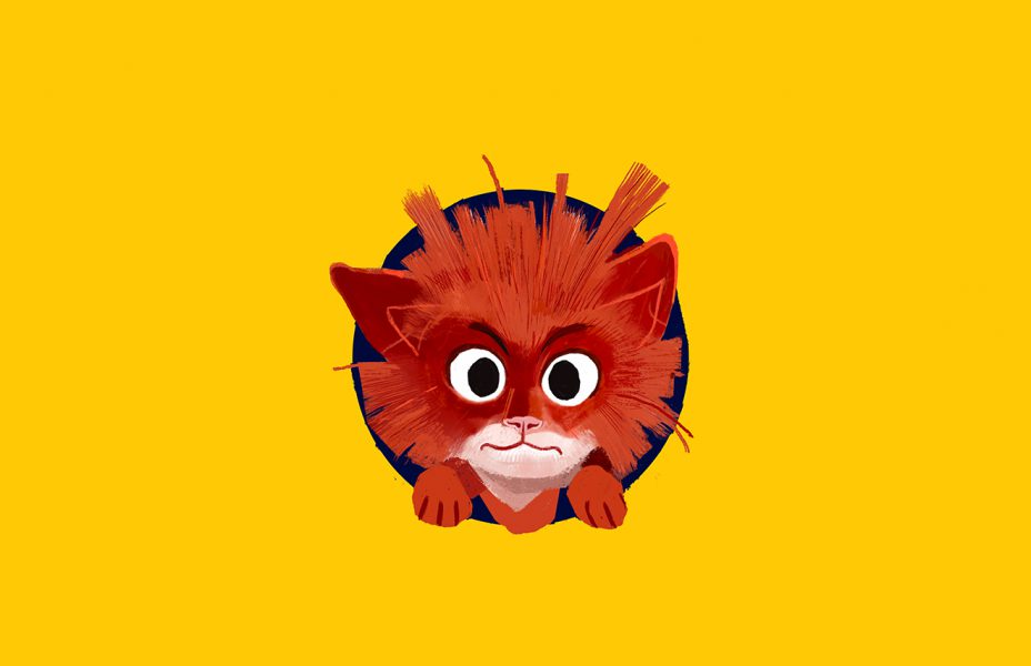 Coiffur Cat Shampoo thumbnail